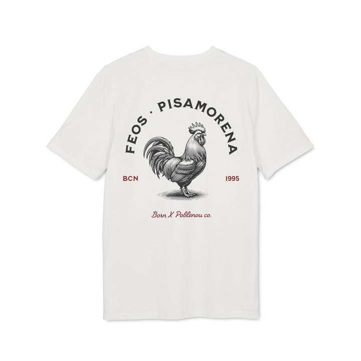 Pisa x Feos - ROOSTER