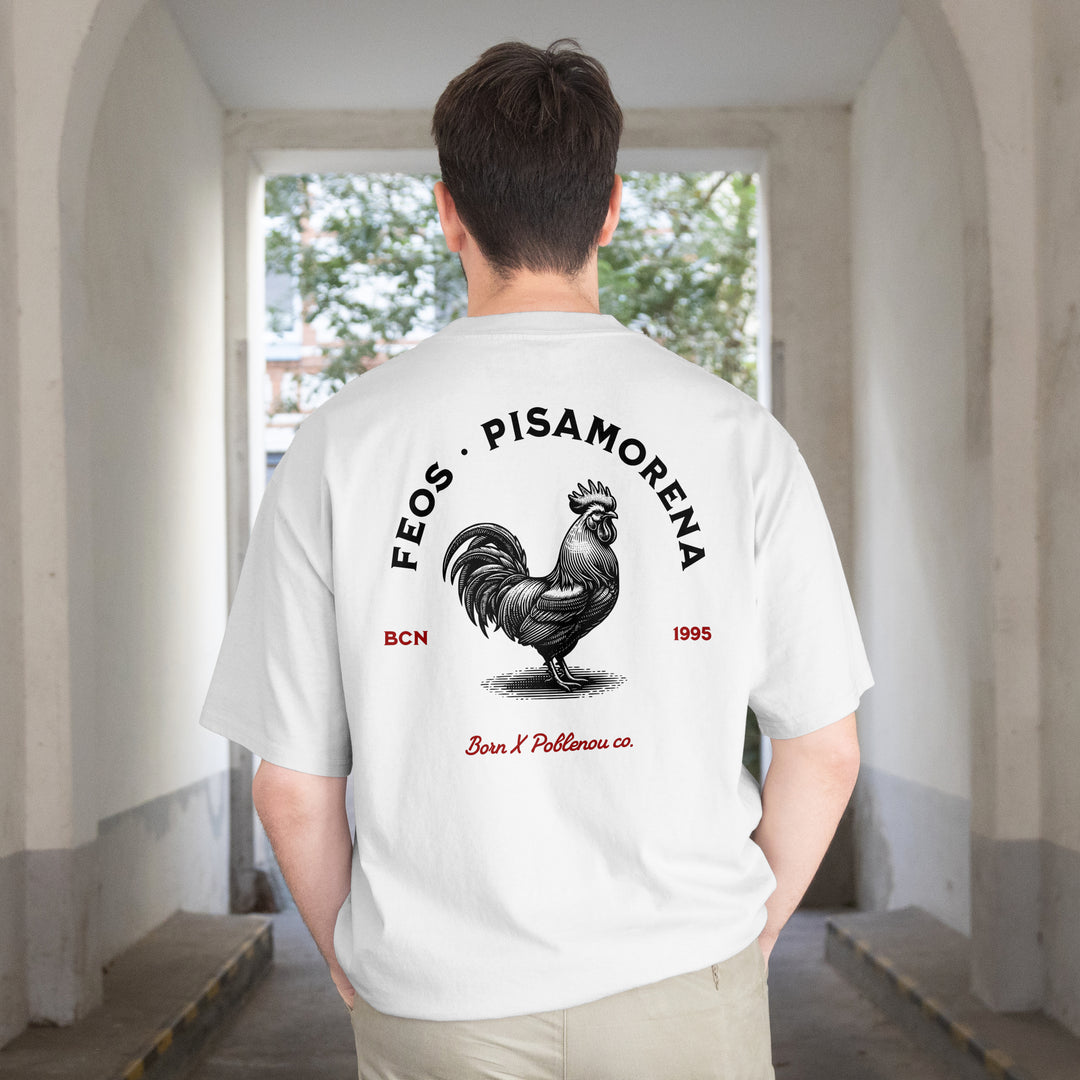 Pisa x Feos - ROOSTER